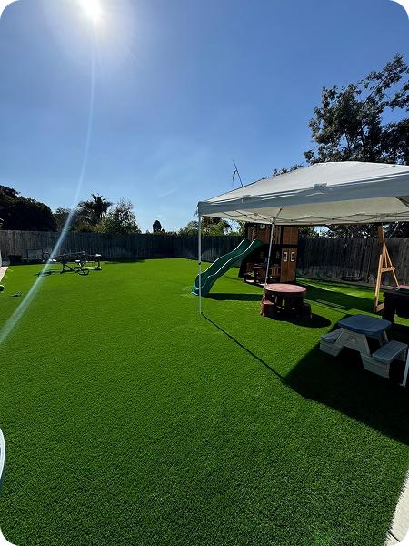 45e0cca9-ac67-4ce2-a578-03083efa7ab0 1