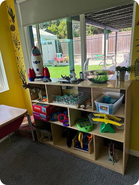 81023d20-152e-4931-a20c-2ec6b520068f 1